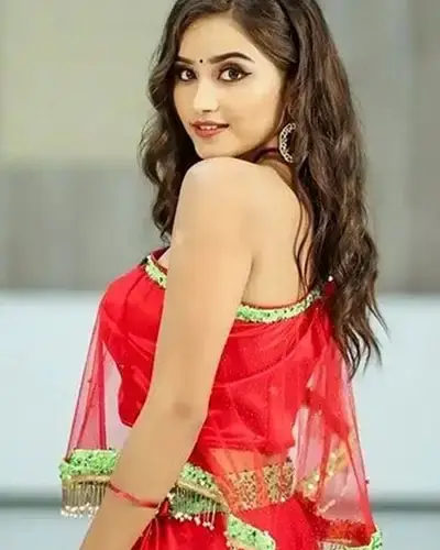 Call Girls Service Sonkatch